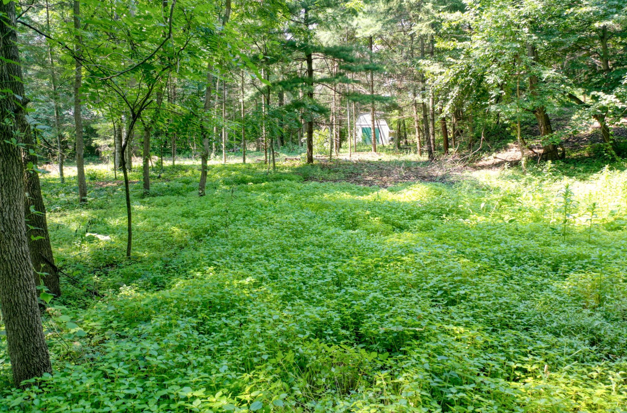DJI_0823.jpg