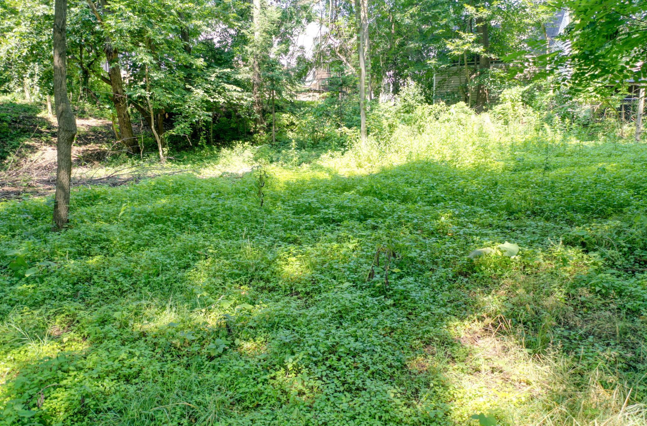 DJI_0813.jpg