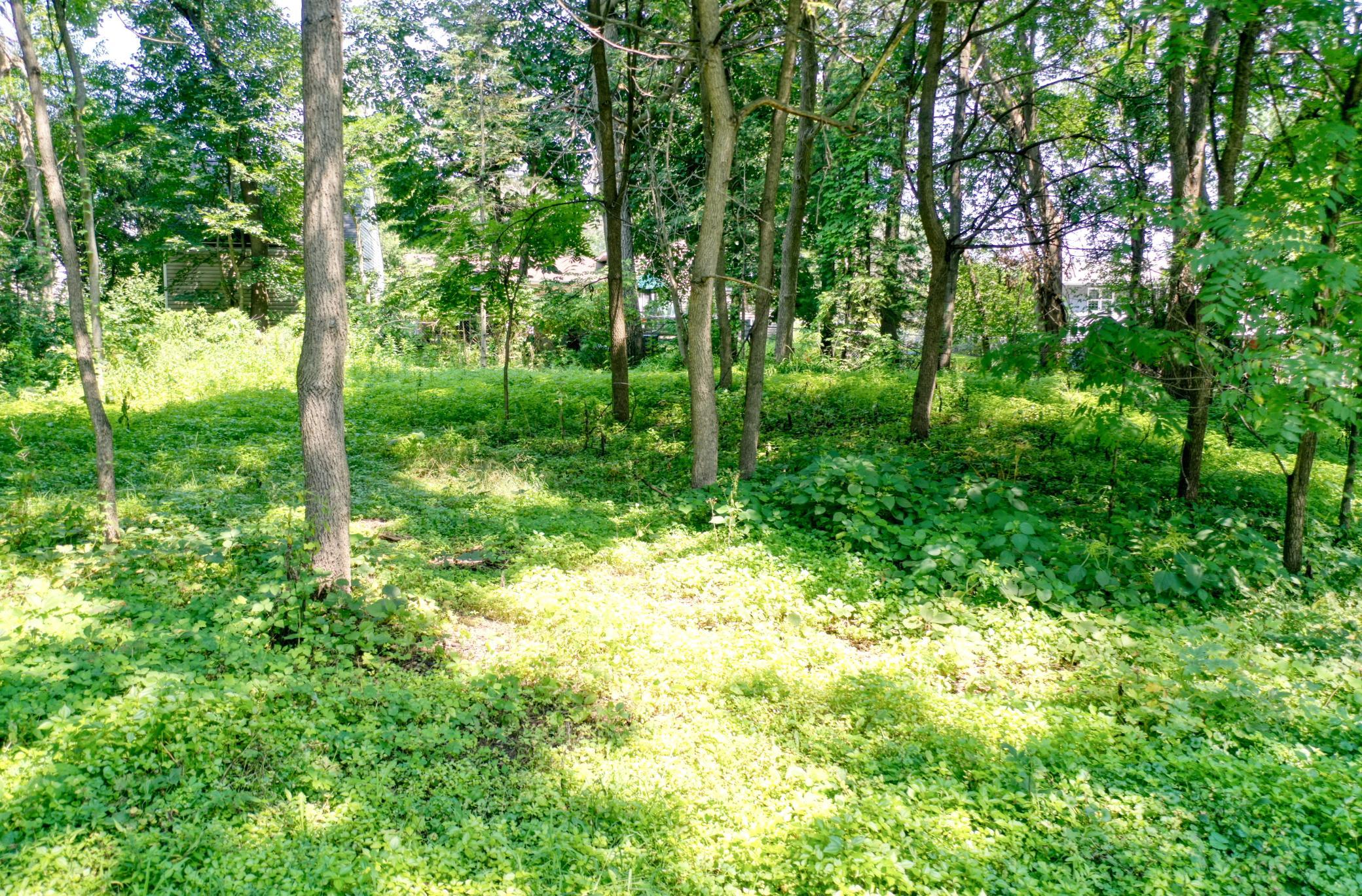 DJI_0808.jpg
