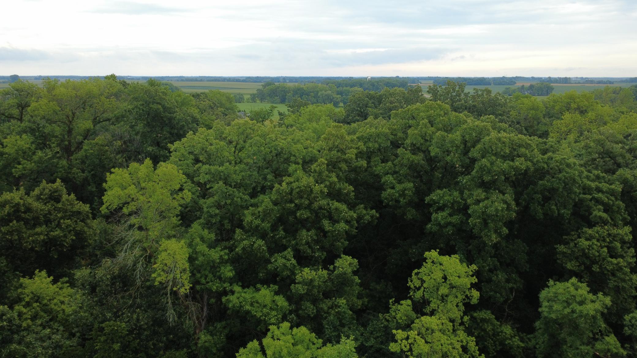 Beautiful 3-acre wooded lot offering privacy, mature trees, and a premier setting for your future home. Bring your own builder and make your dream home a reality.