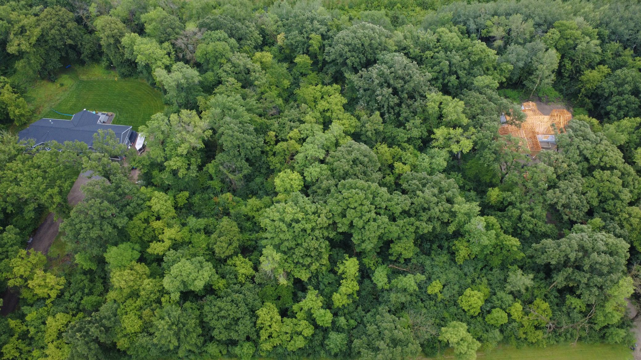 Beautiful 3-acre wooded lot offering privacy, mature trees, and a premier setting for your future home. Bring your own builder and make your dream home a reality.
