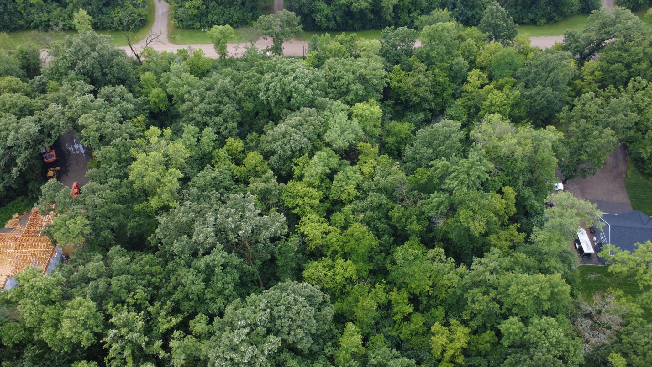 Beautiful 3-acre wooded lot offering privacy, mature trees, and a premier setting for your future home. Bring your own builder and make your dream home a reality.