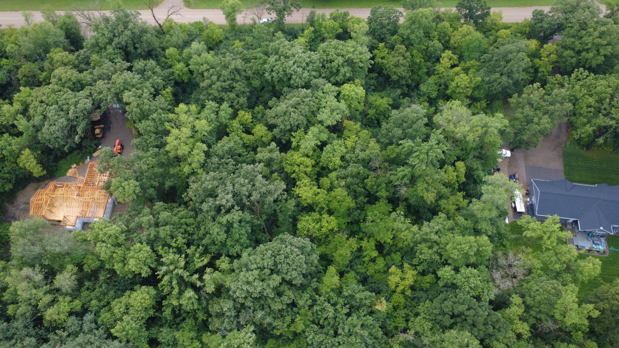 Beautiful 3-acre wooded lot offering privacy, mature trees, and a premier setting for your future home. Bring your own builder and make your dream home a reality.