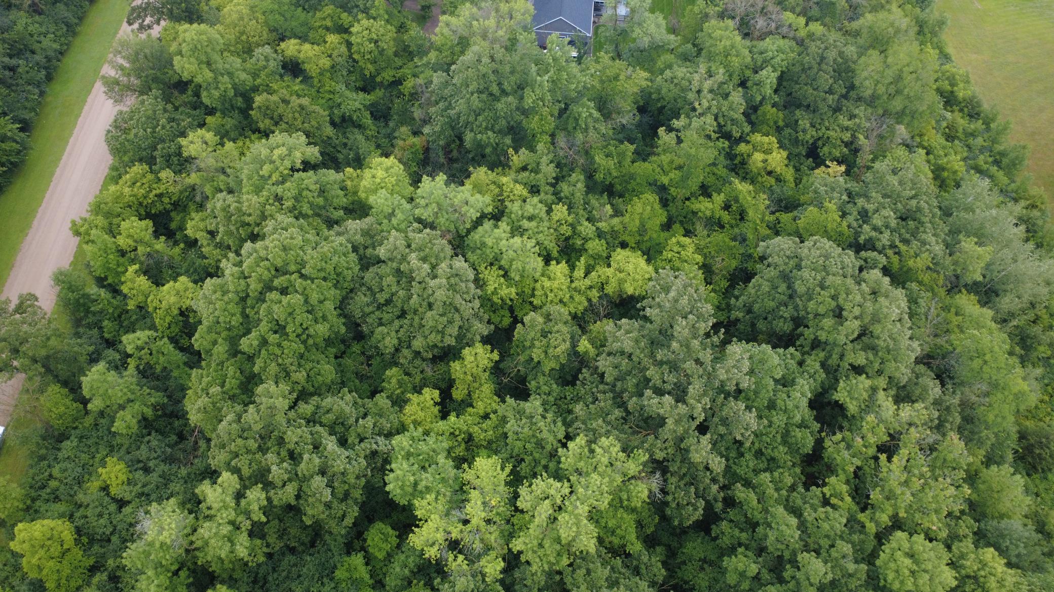 Beautiful 3-acre wooded lot offering privacy, mature trees, and a premier setting for your future home. Bring your own builder and make your dream home a reality.