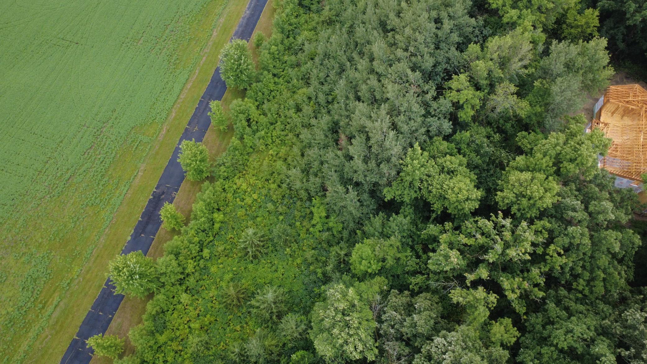 Beautiful 3-acre wooded lot offering privacy, mature trees, and a premier setting for your future home. Bring your own builder and make your dream home a reality.