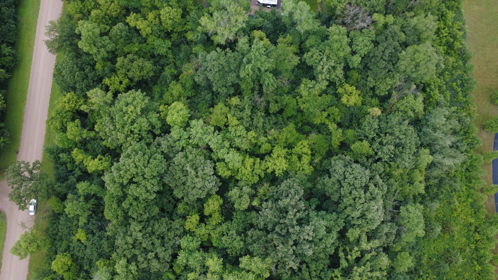 Beautiful 3-acre wooded lot offering privacy, mature trees, and a premier setting for your future home. Bring your own builder and make your dream home a reality.