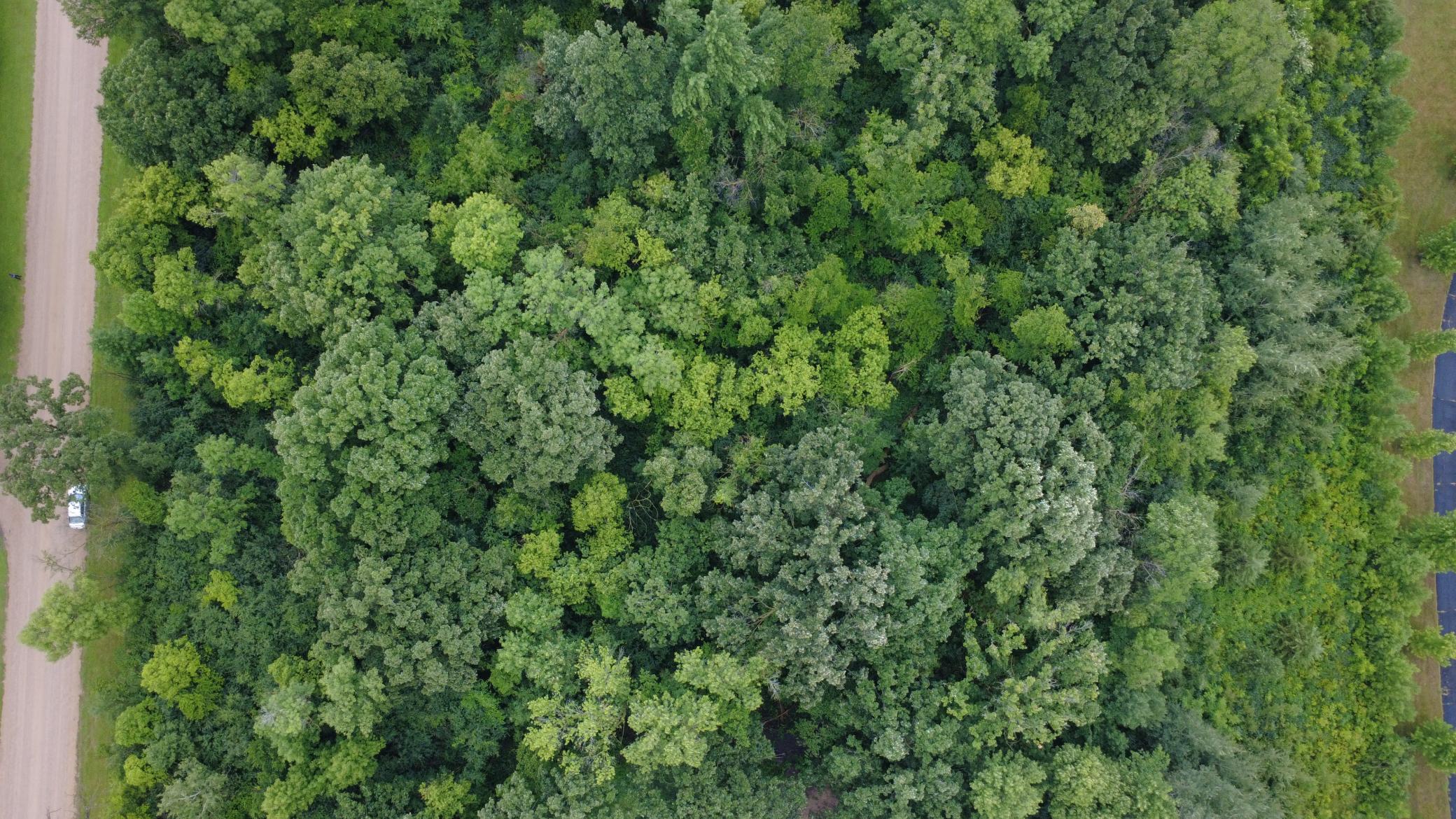 Beautiful 3-acre wooded lot offering privacy, mature trees, and a premier setting for your future home. Bring your own builder and make your dream home a reality.