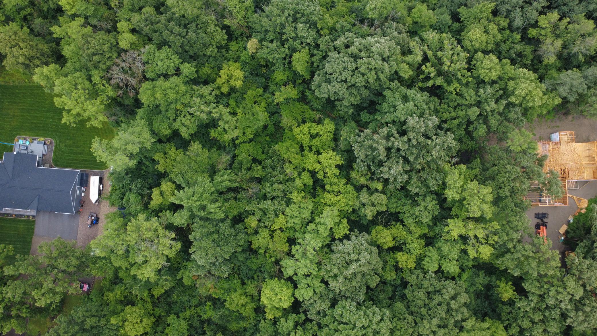 Beautiful 3-acre wooded lot offering privacy, mature trees, and a premier setting for your future home. Bring your own builder and make your dream home a reality.