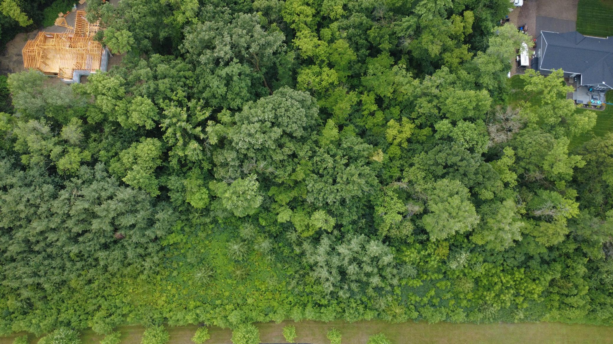 Beautiful 3-acre wooded lot offering privacy, mature trees, and a premier setting for your future home. Bring your own builder and make your dream home a reality.
