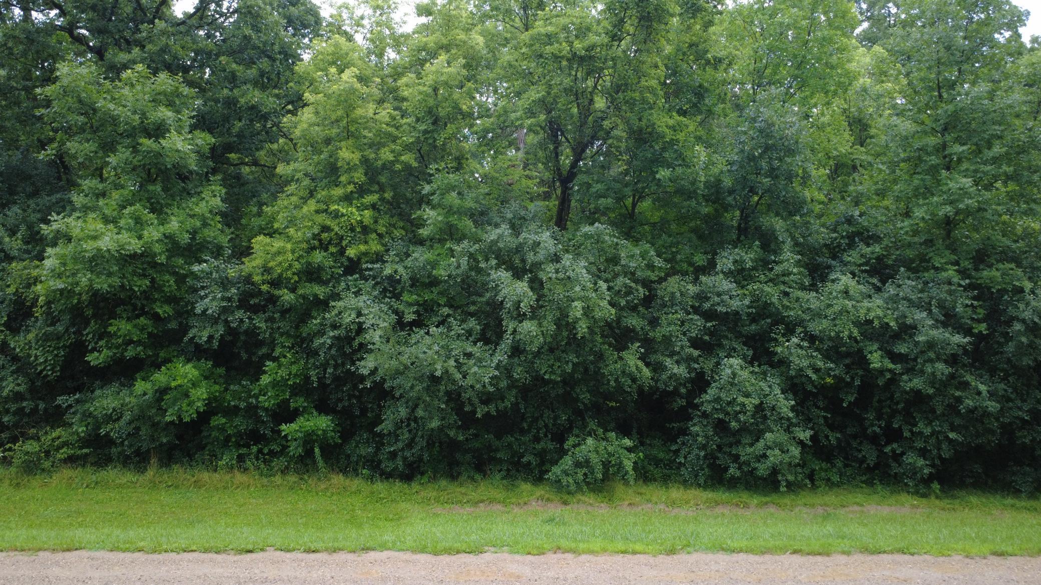Beautiful 3-acre wooded lot offering privacy, mature trees, and a premier setting for your future home. Bring your own builder and make your dream home a reality.