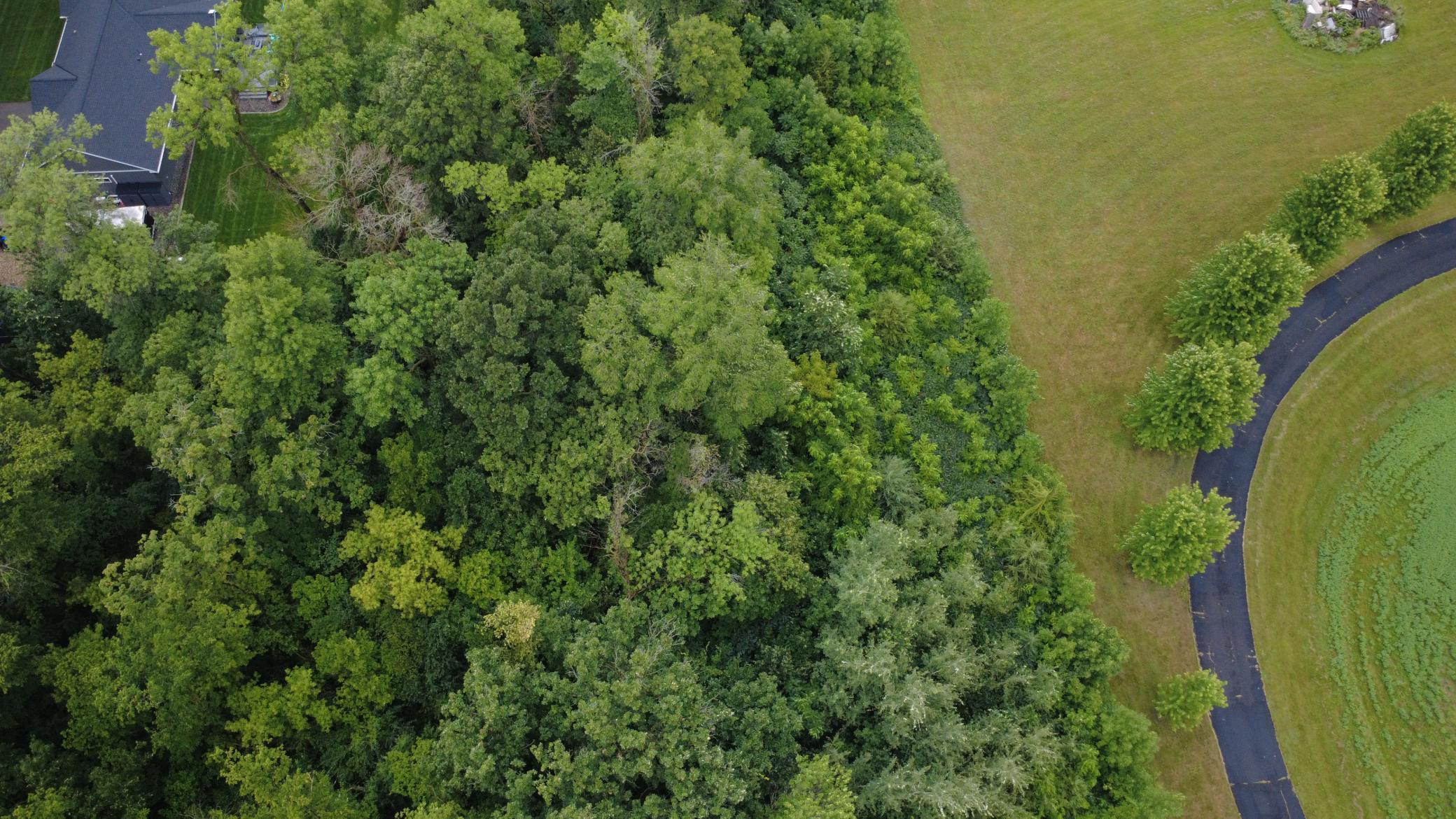 Beautiful 3-acre wooded lot offering privacy, mature trees, and a premier setting for your future home. Bring your own builder and make your dream home a reality.