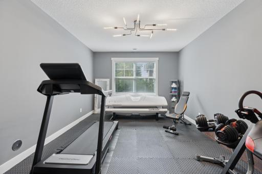Lower level gym (with flooring mats over the top of carpeting), could also serve as a 5th bedroom.