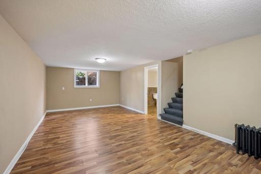 Large lower level family room