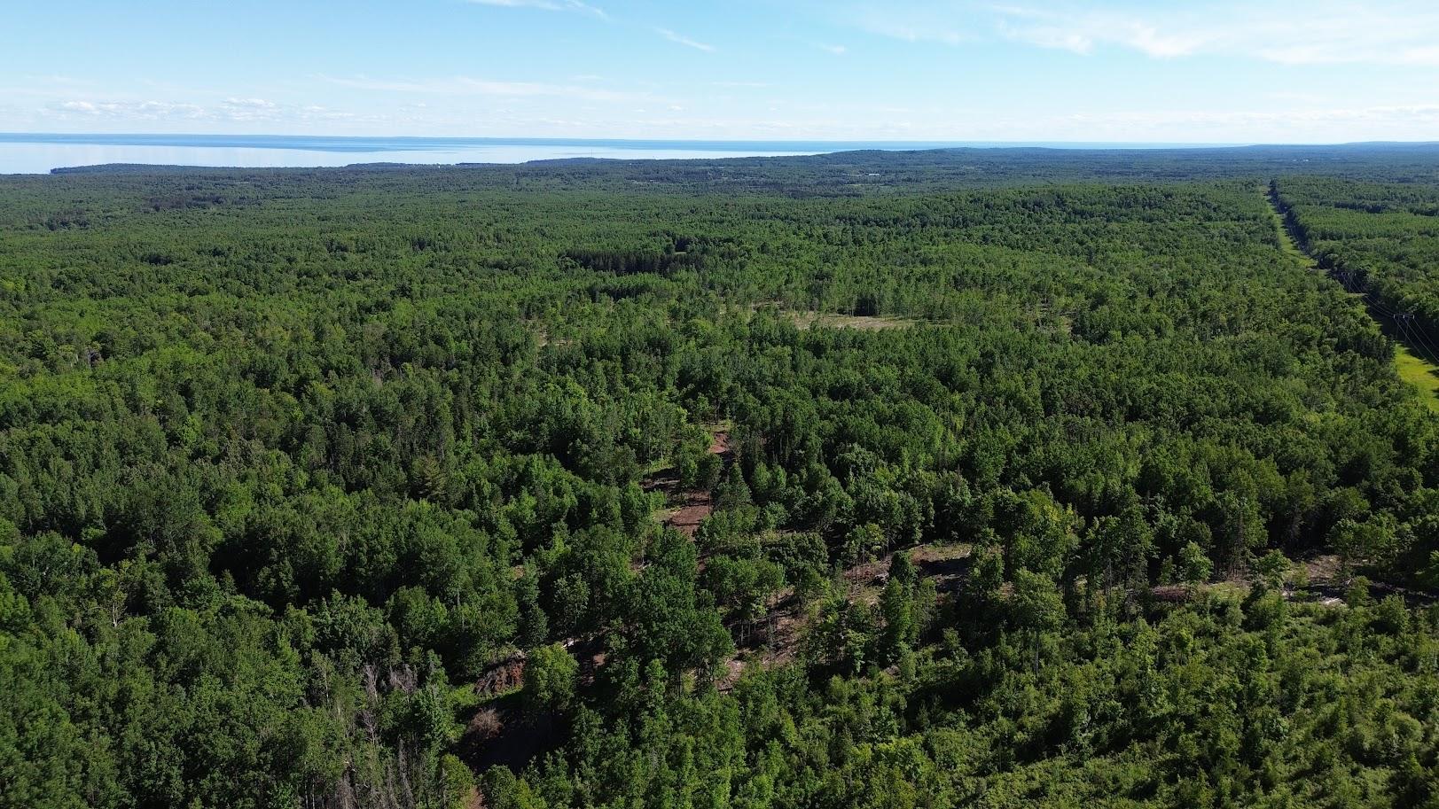 One of the property's most unique features is its direct access to approximately 22,000 acres of adjoining Minnesota State Land.