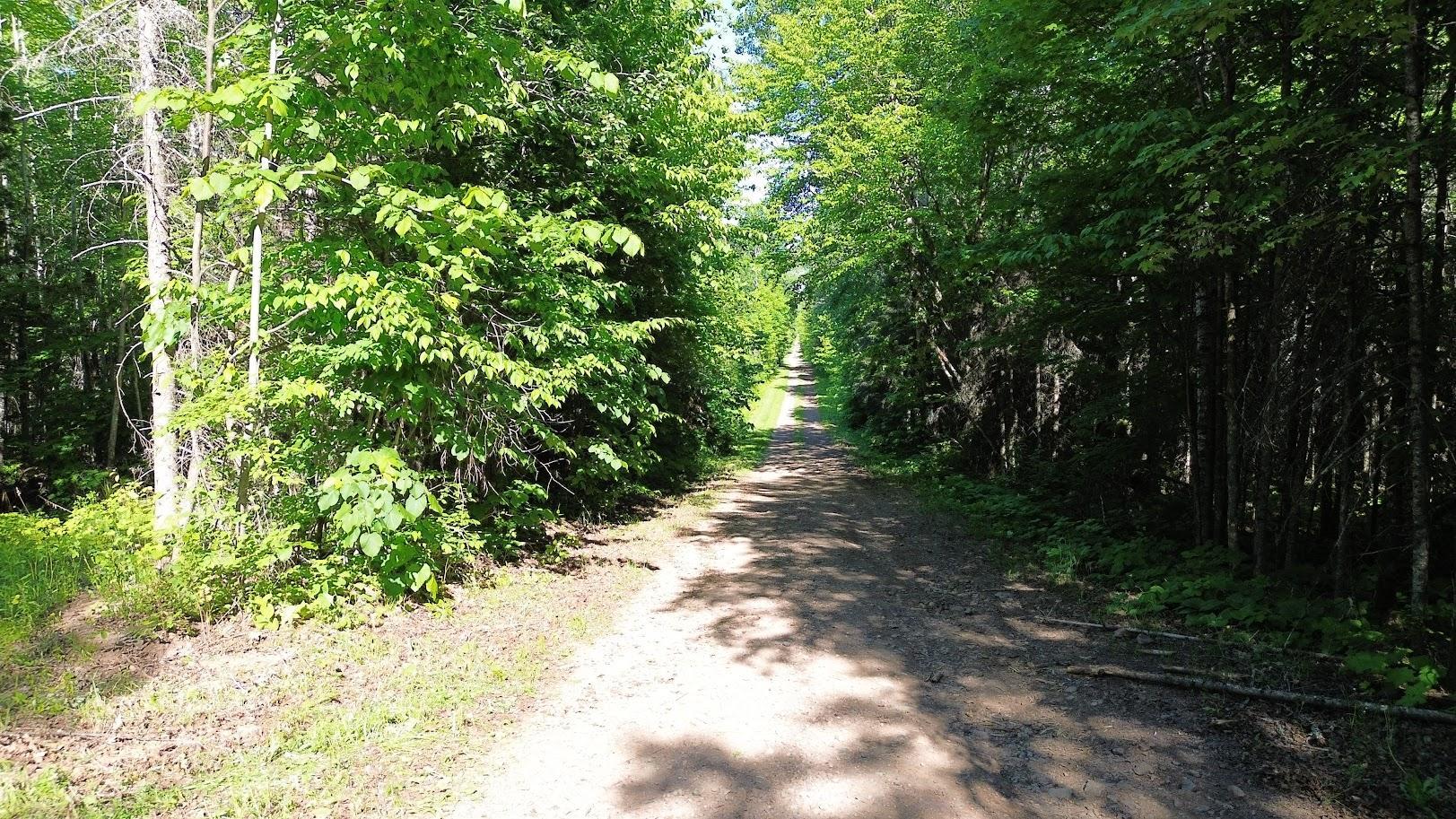 Reeves Road is exceptionally quiet, offering the privacy you've been searching for while still being just minutes from town.