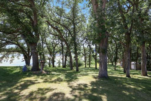 Backyard to the lake.jpg