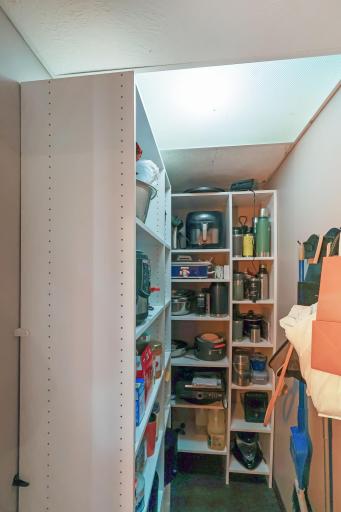 Walk-in pantry.jpg