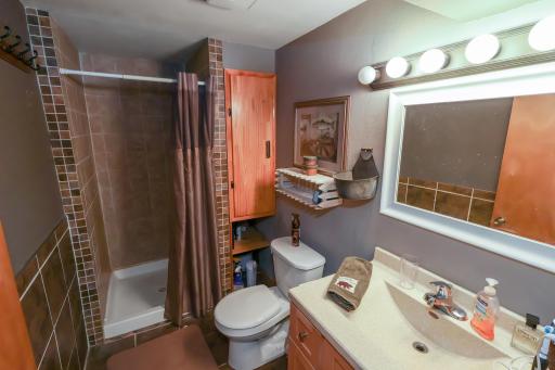 Lower level three quarter bathroom.jpg