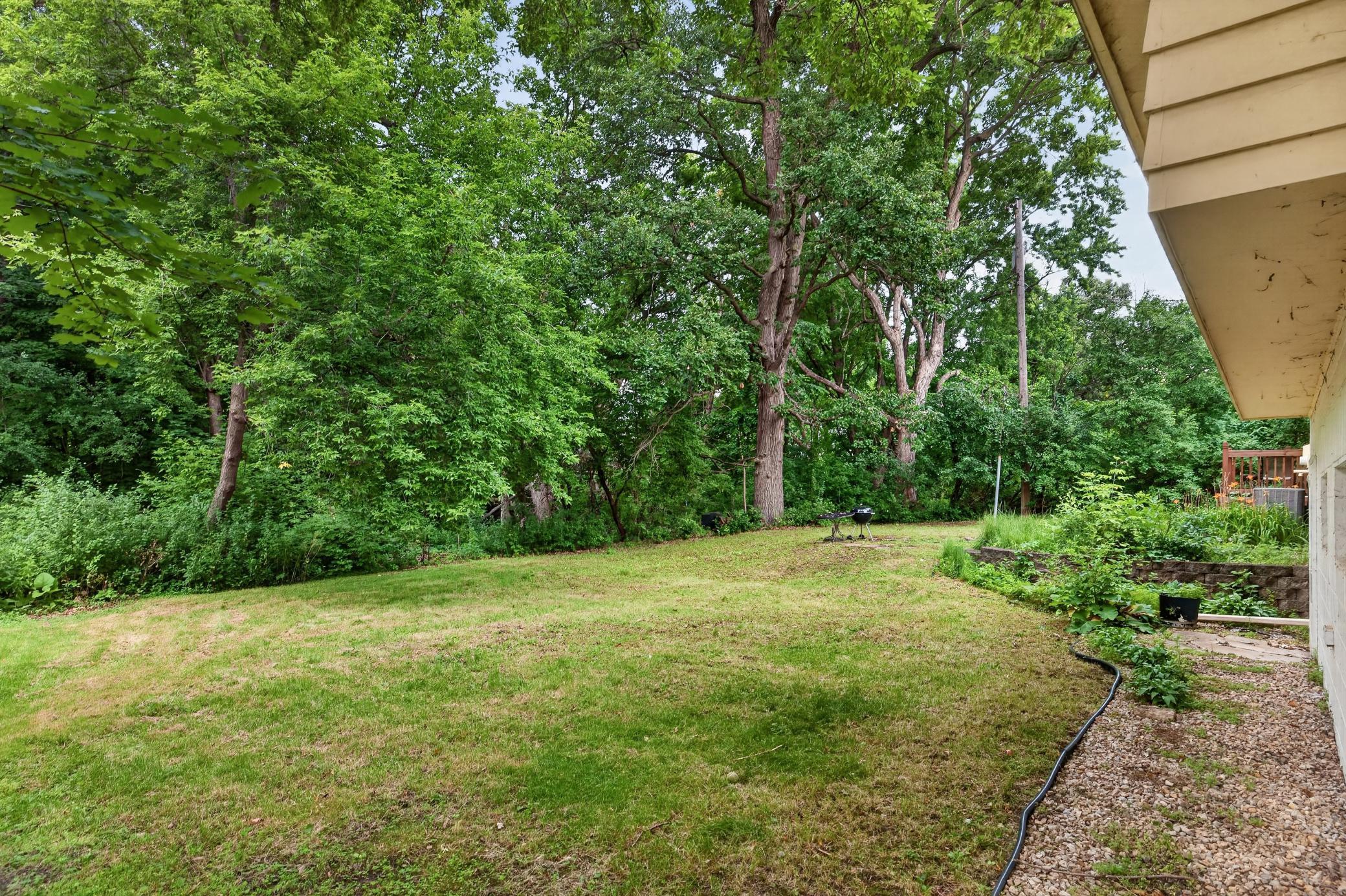 Backyard 1.jpg