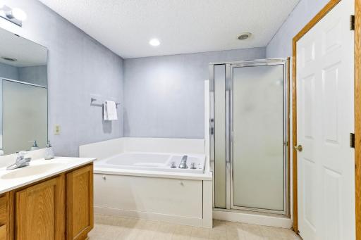 Large soaking tub and separate shower stall.