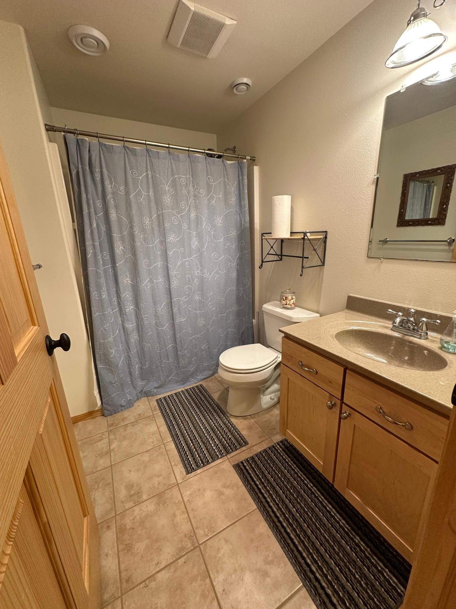 Lower level full bathroom.jpeg