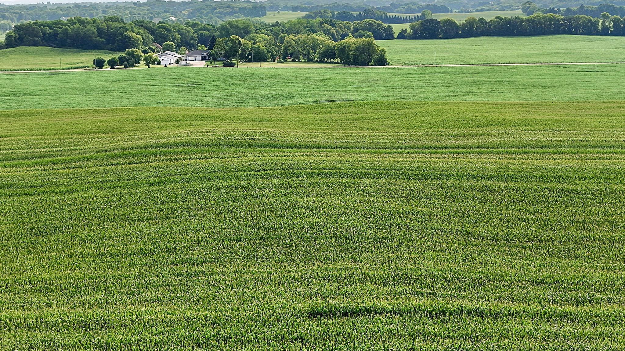 DJI_20260804094530_0936_D.jpg