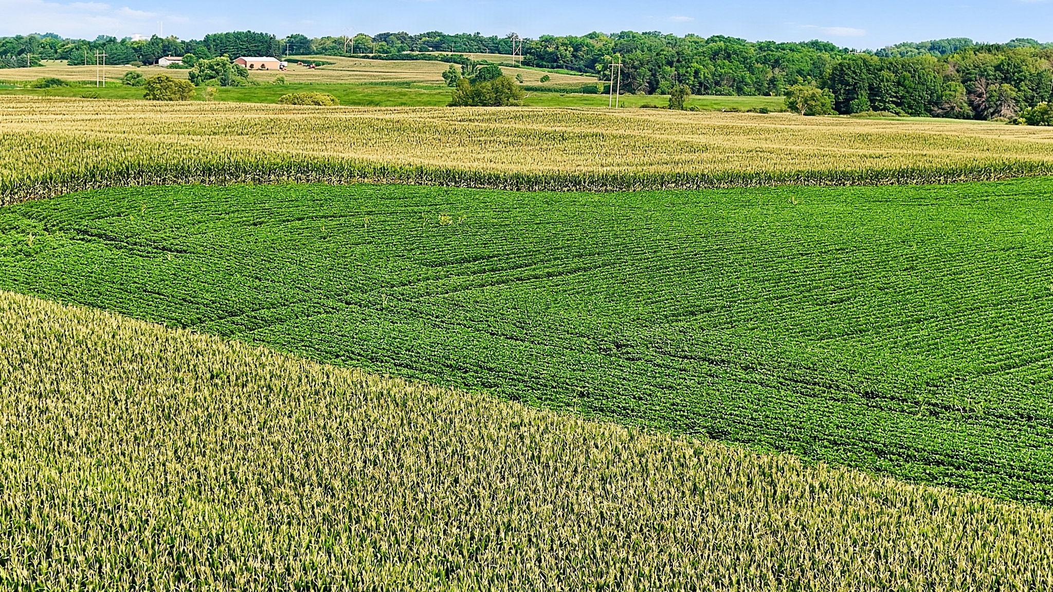 DJI_20260804094717_0939_D.jpg