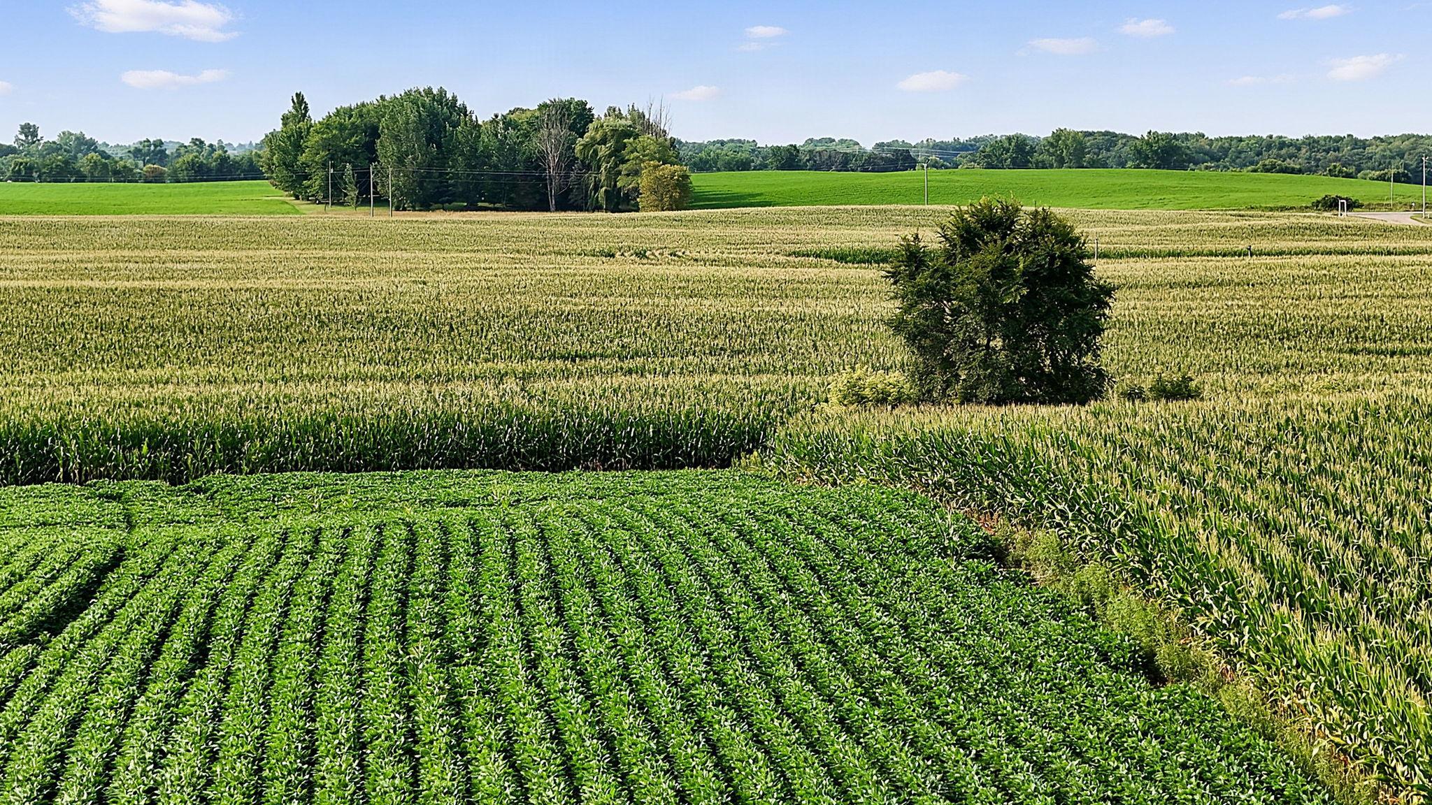 DJI_20260804094647_0938_D.jpg