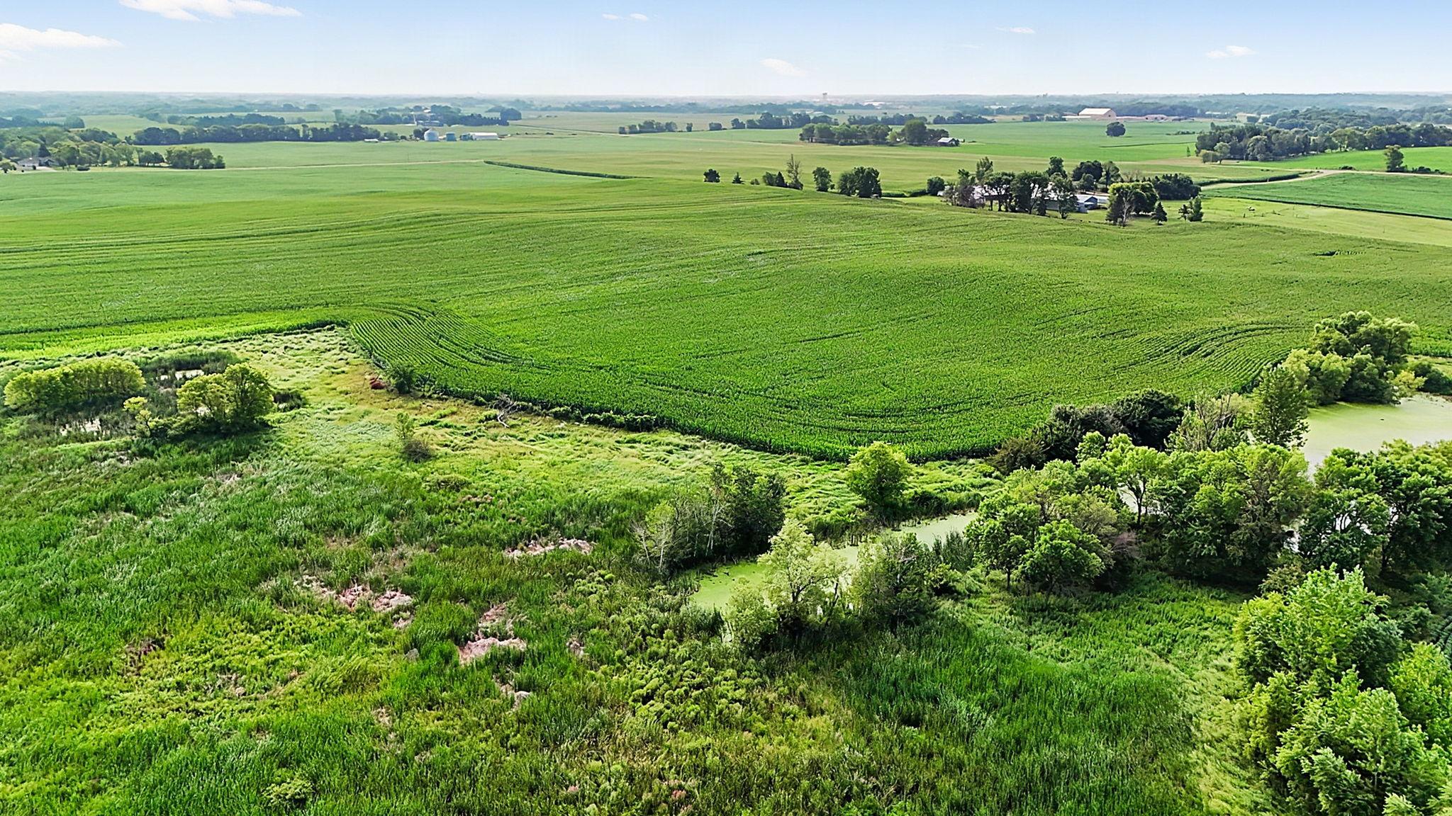 DJI_20260804094313_0934_D.jpg