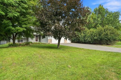 38-web-or-mls-A7307833.jpg