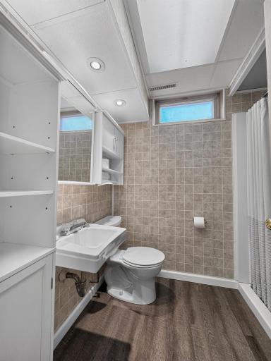 Lower level bathroom