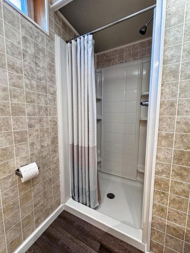 Lower level bathroom