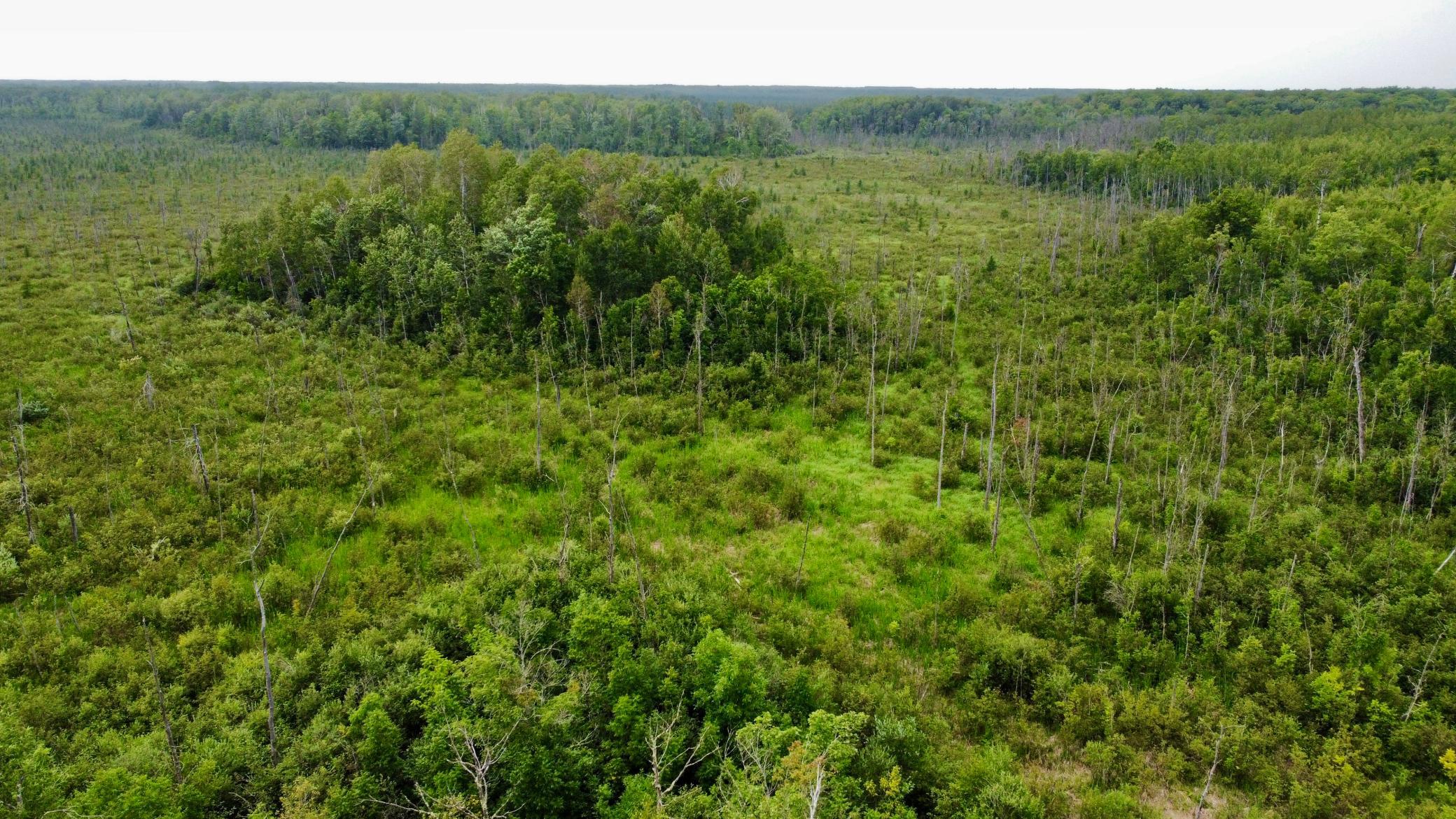 facing NW (there is a trail w/wooden pallet going to the island) Only abt E1/4 of this island belongs to this property