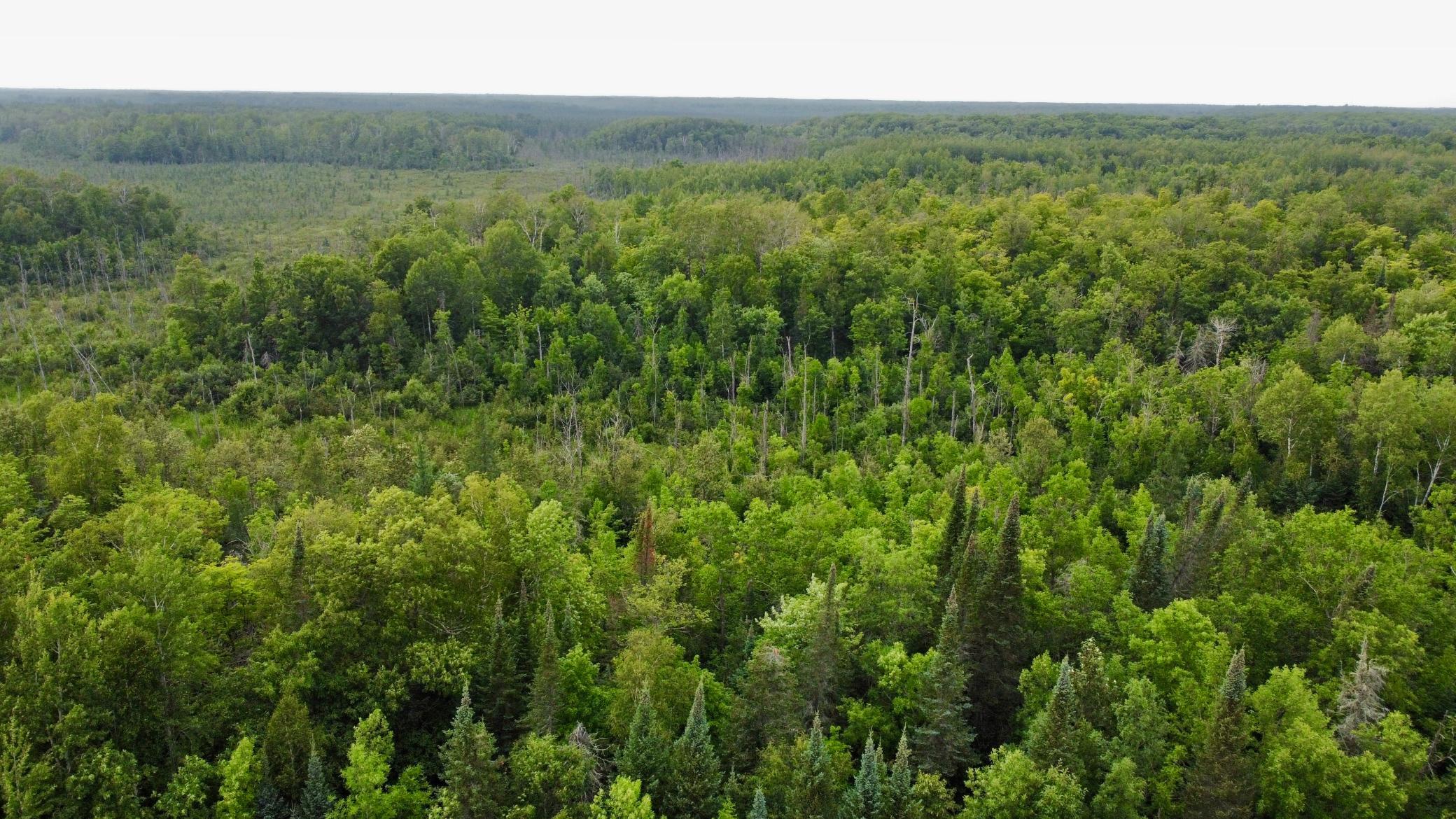 facing West North