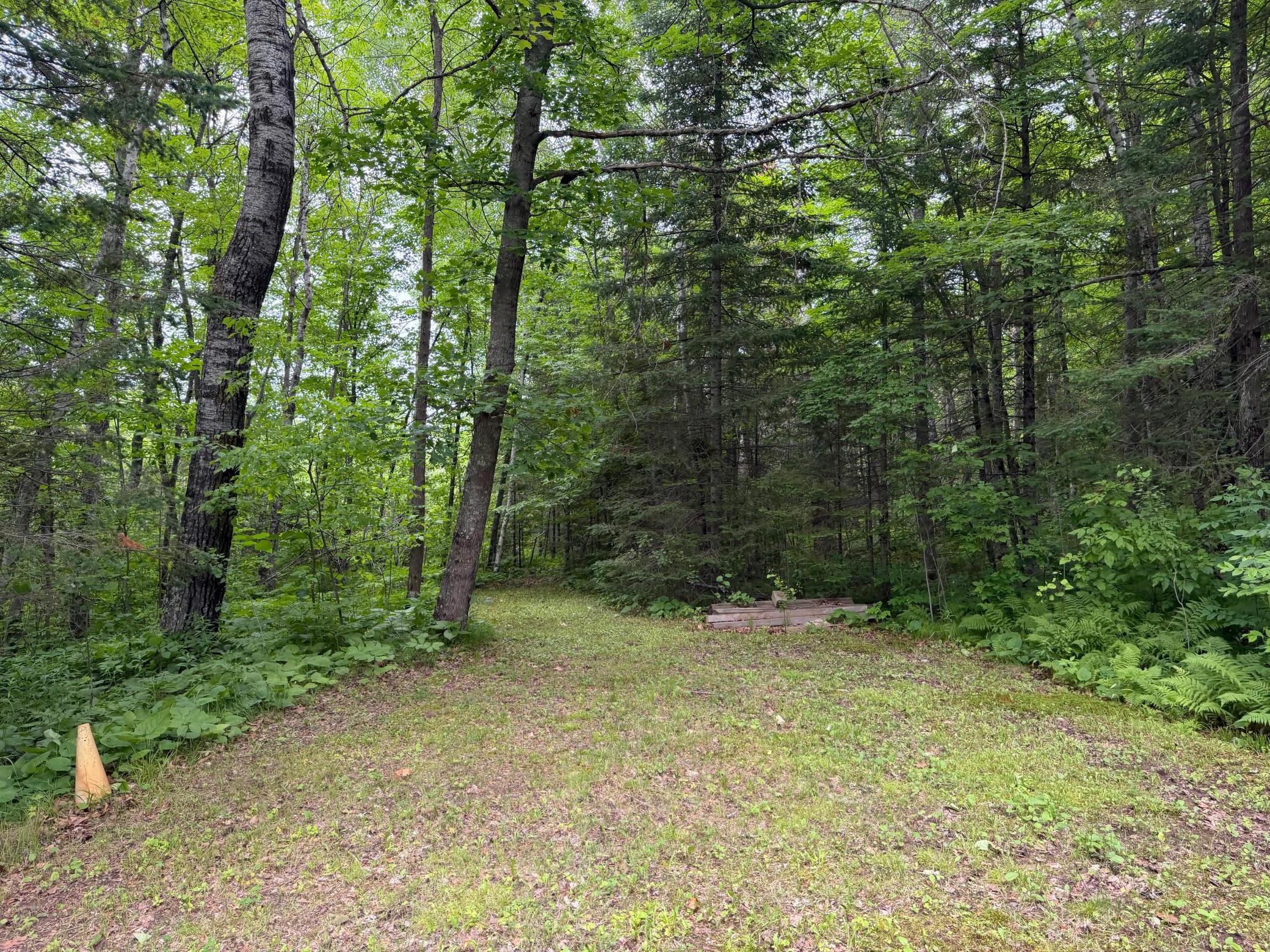 start of trail to the East