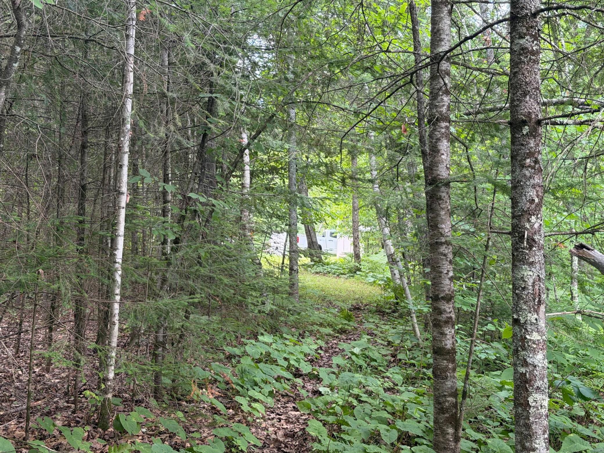trail going East