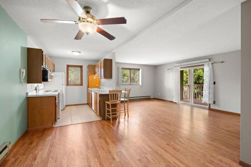 5-web-or-mls-3295-80th-st-e-501.jpg
