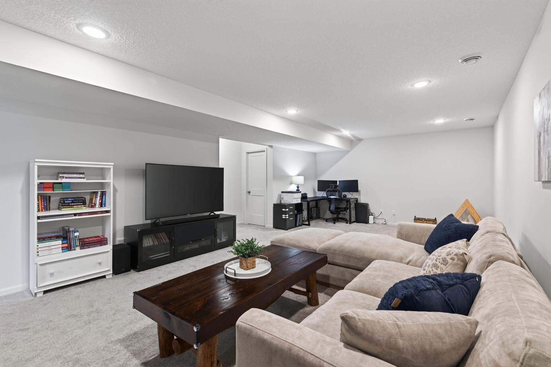 Lower level Family room