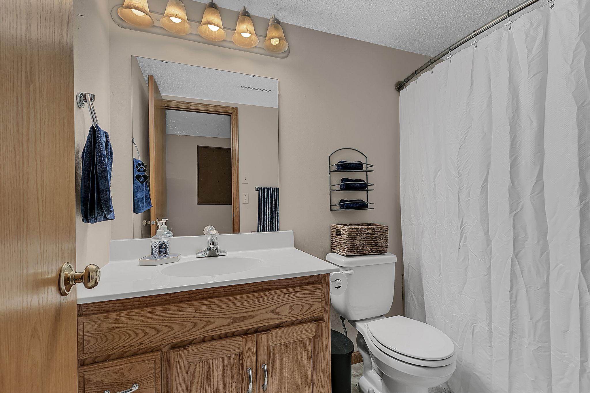 Lower Level Bathroom