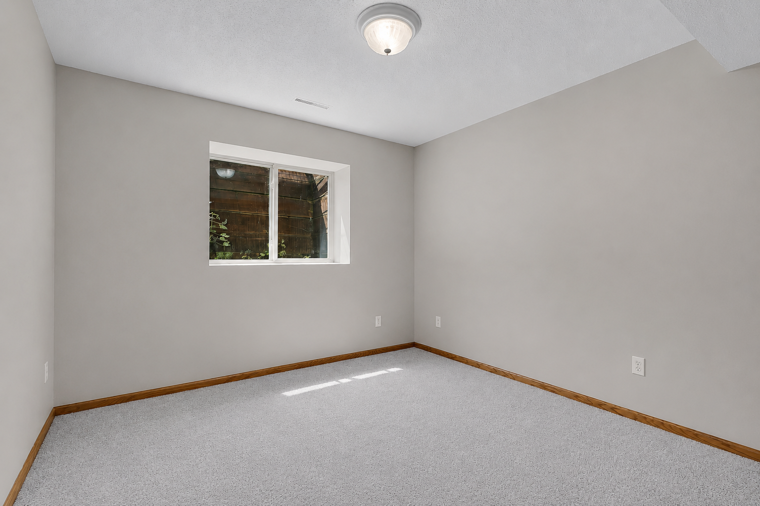 Lower Level Bedroom