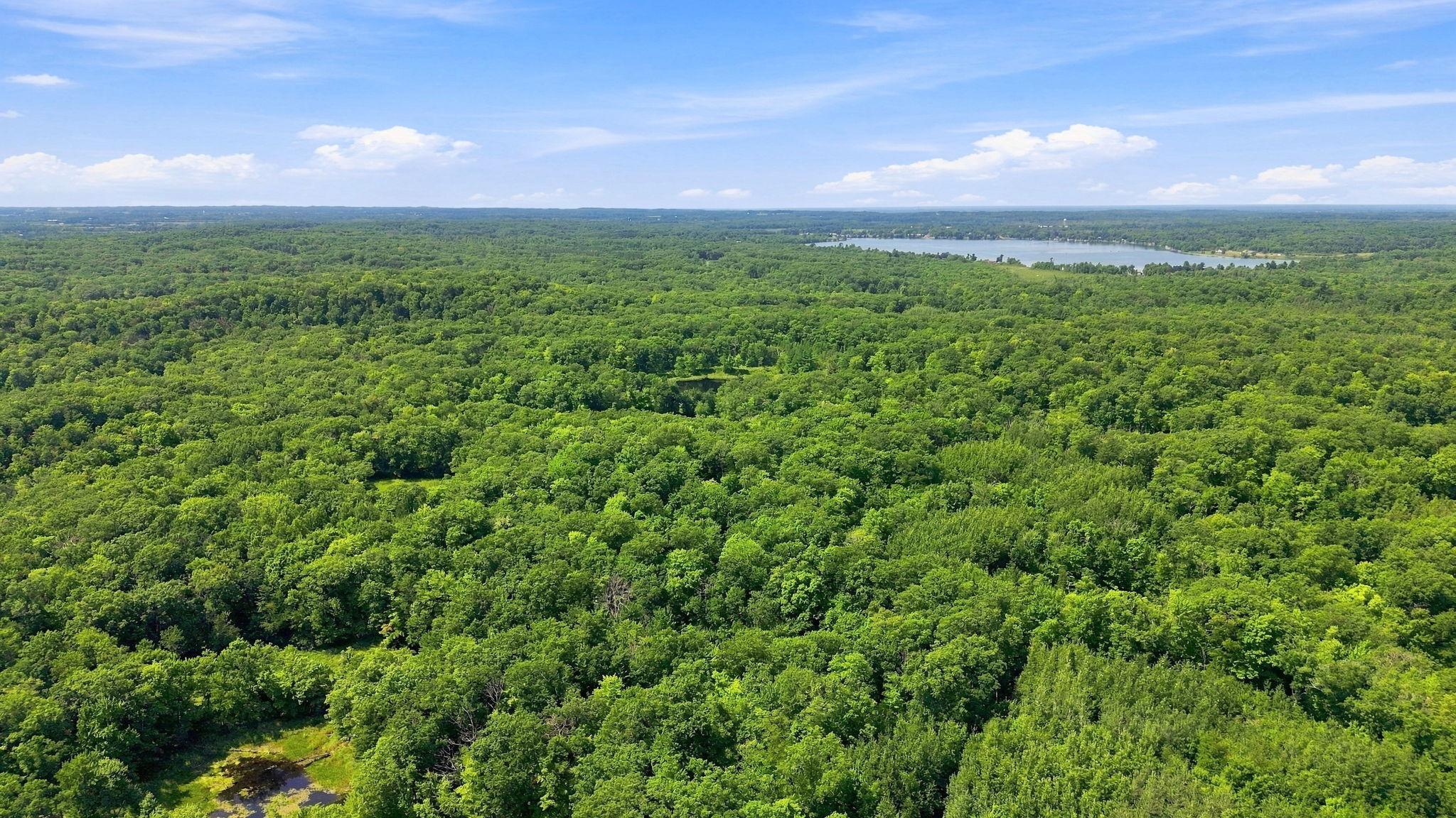 2-web-or-mls-DJI_0527.jpg