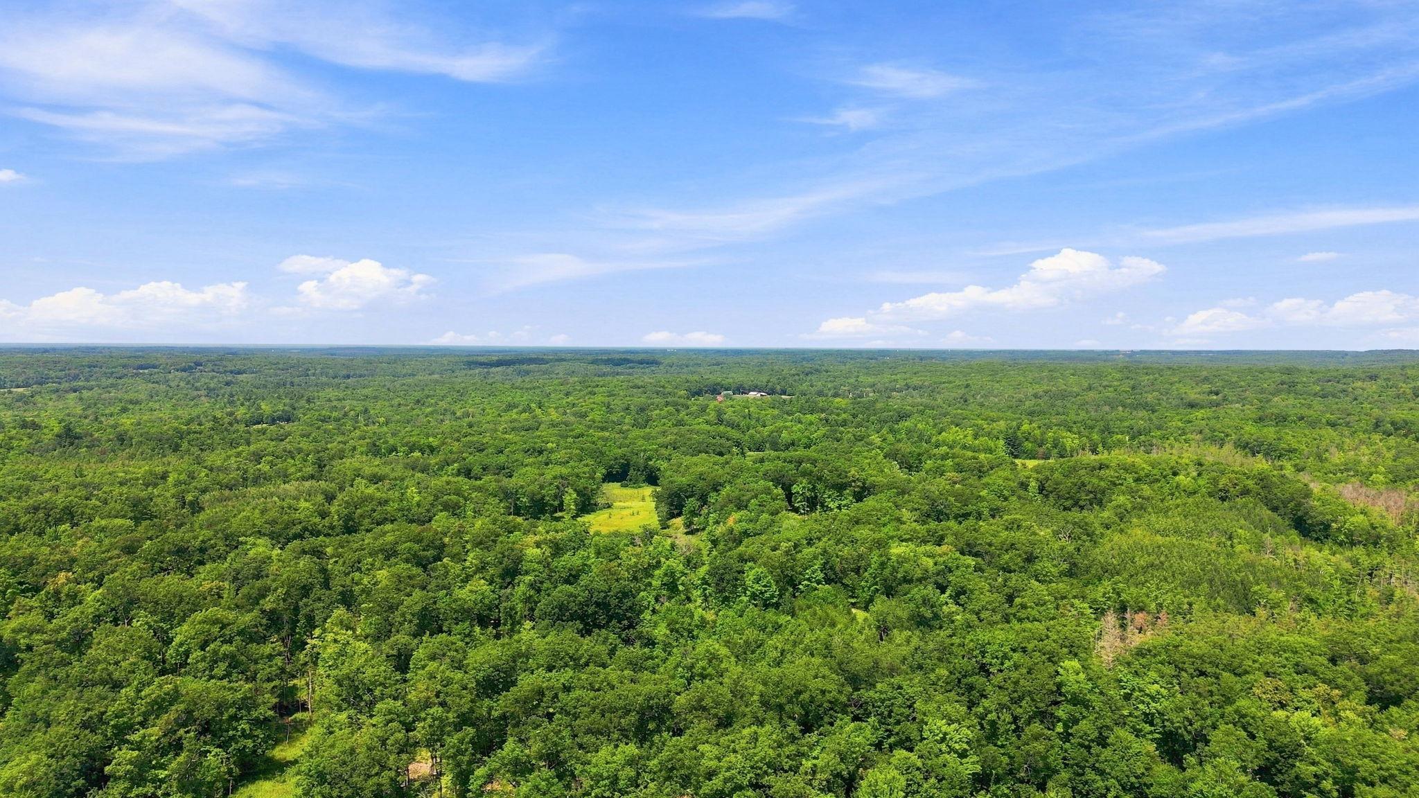 8-web-or-mls-DJI_0537.jpg