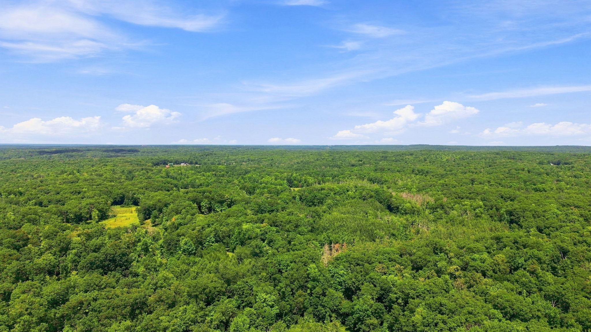 9-web-or-mls-DJI_0538.jpg