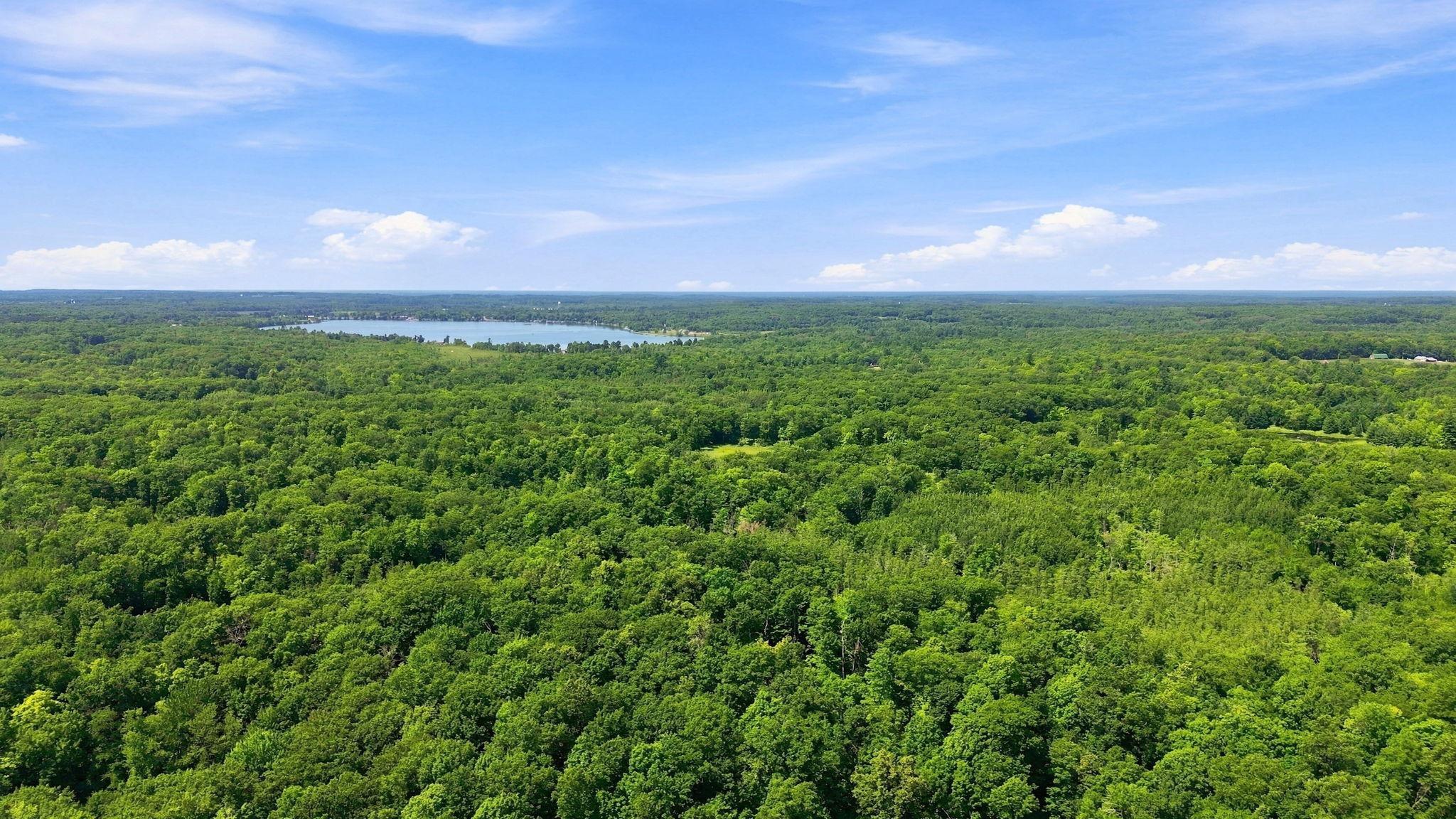 3-web-or-mls-DJI_0530.jpg