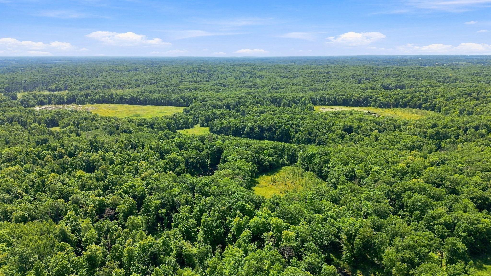 1-web-or-mls-DJI_0526.jpg