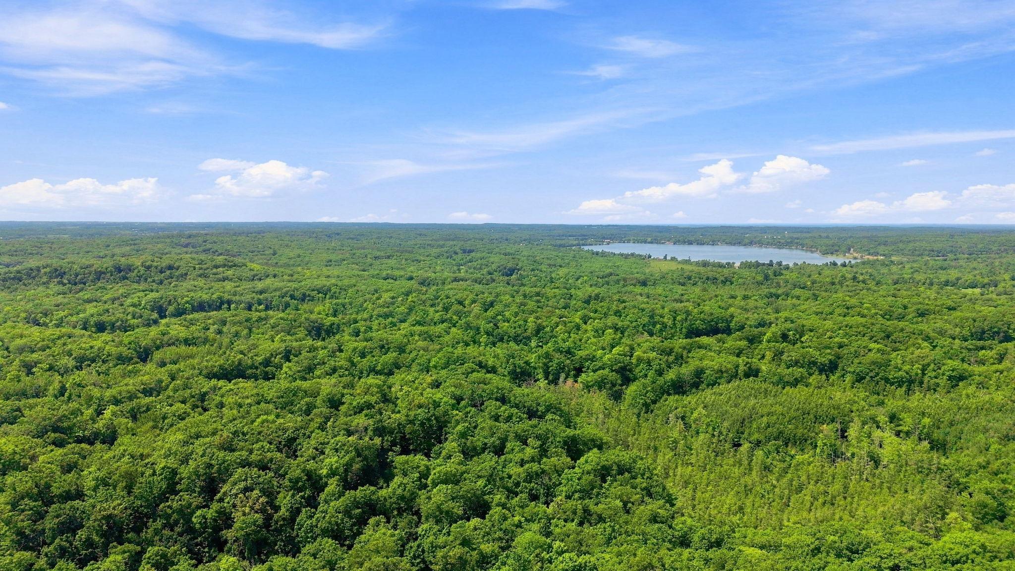 4-web-or-mls-DJI_0531.jpg