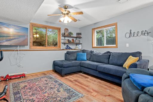 998 99th Ln NE, Blaine, MN-20.jpg