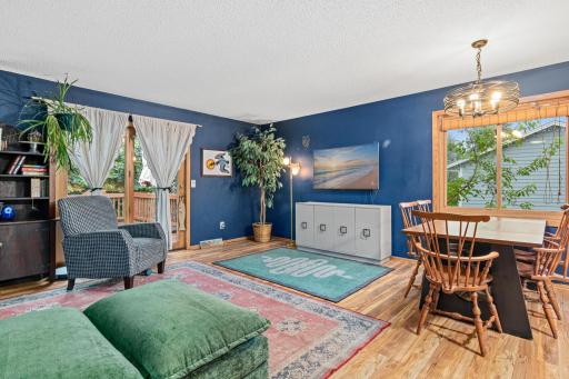 998 99th Ln NE, Blaine, MN-4.jpg