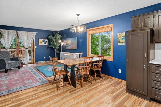 998 99th Ln NE, Blaine, MN-10.jpg