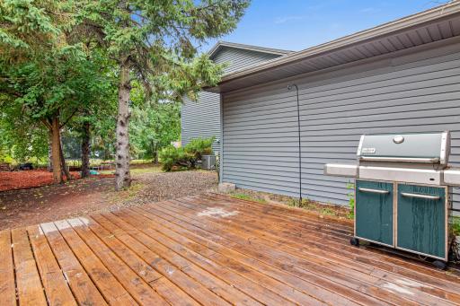 998 99th Ln NE, Blaine, MN-37.jpg